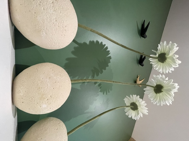 Fleurs et vases en céramique devant un mur vert de l’atelier